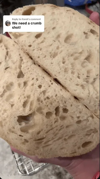 More Sour Dough!